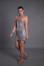 Metallic Muse
